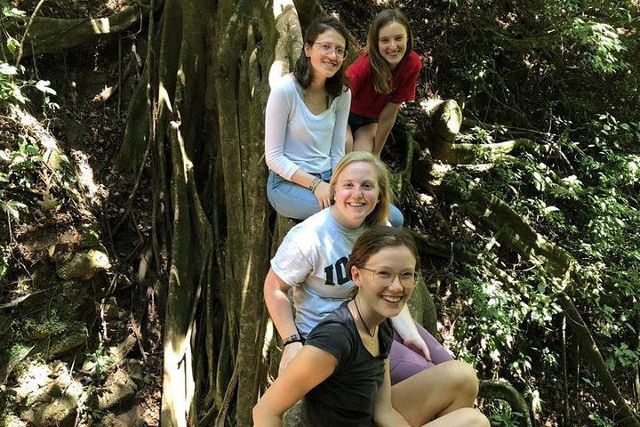 Monteverde Cloud Forest Organic Coffee Farm Cultural Experience - Photo 1 of 7